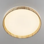 Потолочный светильник RGB круглый светодиодный с пультом Citilux Enzo CL753452G (220V, круглые)