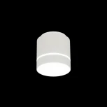 Накладной точечный светильник Citilux Борн CL745020N (LED, 220V, диммер, круглые)