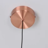 Подвесной светильник Favourite Luna 4371-1P (LED, 220V, на проводе, шар)