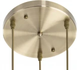 Подвесной светильник Citilux Garuda CL420033 (220V, на проводе, листья)