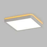 Настенно-потолочный светильник светодиодный с подсветкой Citilux Norma CL748K200 (220V, IP40)