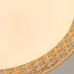 Потолочный светильник круглый LED F-Promo Conrad 4749-4C (регулировка яркости, 220V, пульт управления, круглые)