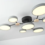 Потолочная люстра с пультом на штанге LED Lu Carte LC-11-1717