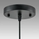 Подвесной светильник Lumion Leonela 8052/1А черный/черный, золото металл/металл E27 1*60W 220V