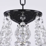 Подвесная люстра Bohemia AL1613 AL16313/8/165 BG