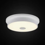 Настенно-потолочный светильник Citilux Фостер-2 CL706220