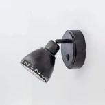 Спот Citilux Робуста CL509512