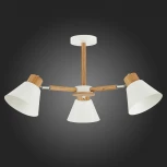Потолочная люстра Evoluce Buve SLE103702-03 (220V)
