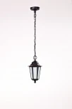 Уличный светильник подвесной Oasis Light 79805S Bl (220V, на цепи, IP44)