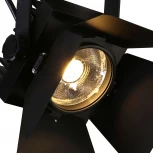 Спот Favourite Projector 1770-1U