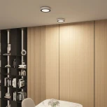 Потолочный светильник круглый Denkirs Dual DK2840-WB (LED, 220V, круглые)