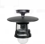 Потолочный светильник уличный Oasis Light TOKIO 2 68905A Bl (220V, фонарь, IP44)