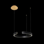 Подвесной светильник Loft IT Ring 10025/400 Black (LED, 220V, на тросе, кольцо)