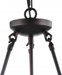 Подвесная люстра Freya Conte FR4166-PL-03C-BL (220V, на цепи)