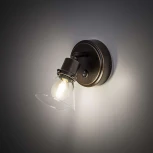 Спот Citilux Бисмарк CL564511 (220V, выключатель, круглые)