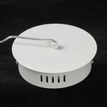 Подвесной светильник Lussole Ketchikan LSP-7199 (LED, 220V, на проводе, кольцо)