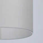 Подвесной светильник Chiaro Оделия 619011203