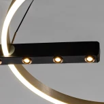 Подвесной светильник Arte Lamp Veritate A2221SP-1BR (LED, 220V, пульт управления, на тросе)