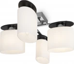 Потолочная люстра Freya Bice FR5101-CL-04-CN (220V)