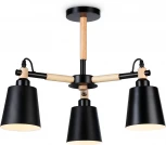 Потолочная люстра на штанге Ambrella Traditional TR82206