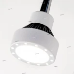 Спот Citilux Данди CL557311