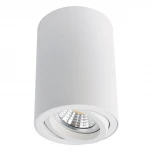 Накладной точечный светильник Arte Lamp Sentry A1560PL-1WH (220V)