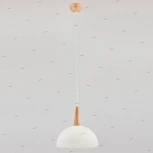 Подвесной светильник Alfa Anja 9648(80400)