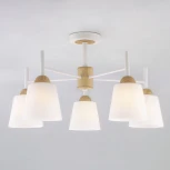 Потолочная люстра Eurosvet Fresco 70085/5 белый (220V)