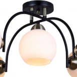 Потолочная люстра на штанге ILLUMICO IL0250-5CSQ-79 BK AB (220V)