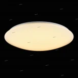 Потолочный светильник круглый Freya Gloria FR6999-CL-45-W (LED, 220V)
