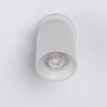 Спот DeMarkt Астор 545024201 (220V, круглые)