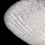 Потолочный светильник круглый Maytoni Bonnet C809CL-04CH (220V)