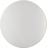 Настенно-потолочный светильник Sonex Smalli 3066/CL