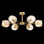Потолочная люстра Evoluce Pallo SLE155412-06
