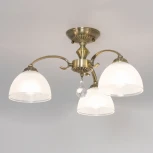 Потолочная люстра на штанге Citilux Франческа CL417133