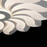 Потолочная люстра Freya Cameron FR10023CL-L127W