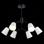 Потолочная люстра на штанге Evoluce Mario SLE155942-06