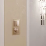 Диммер (шампань) Werkel W1142011 (a050868)