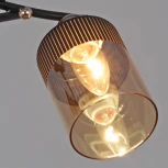 Потолочная люстра на штанге Reluce 09131-3.3-04 FG+BK (220V)