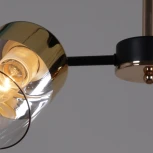 Потолочная люстра на штанге Reluce 11555-0.3-04 BK+FGD (220V)