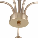 Потолочная люстра на штанге Arte Milano Napoli 325410/5 FG+WH (220V)