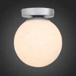 Настенно-потолочный светильник ST Luce Acini SL717.501.01