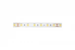 Светодиодная лента DesignLed LUX DSG560-24-NW-65