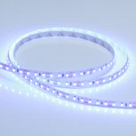 Светодиодная лента RT 2-5000 12V Blue 2x (3528, 600 LED, LUX) (Arlight, 9.6 Вт/м, IP20) 012330(1)