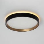 Настенно-потолочный светильник с подсветкой Черный+Золото Citilux Etalon CL750241 (LED, 220V, круглые, IP40)