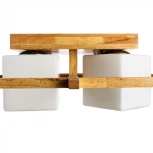 Потолочный светильник Arte Lamp Woods A8252PL-4BR