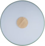 Потолочный светильник круглый Loft IT Axel 10003/24 Green (LED, 220V, круглые)