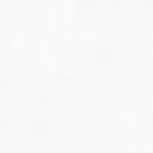 Обои виниловые Marburg Patent Decor Laser 9557 25 x 1,06 м