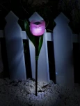 Грунтовый светильник на солнечной батарее Uniel USL-C-451/PT305 PINK TULIP (LED, цветы)