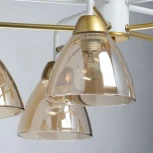 Потолочная люстра MW-Light Вита 220013105